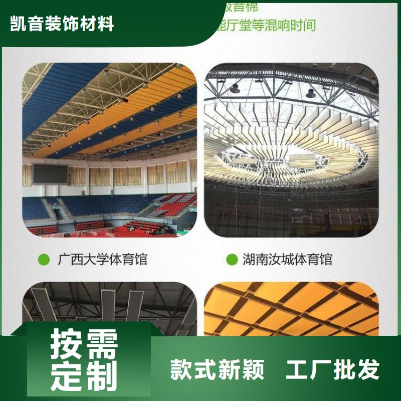 兴县集团公司体育馆吸音改造方案--2025近方案/价格