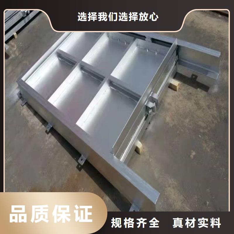 供应批发钢制一体闸门-热销