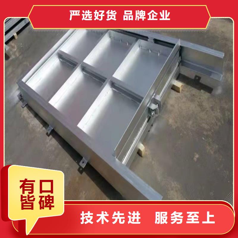 钢制闸门择优厂家