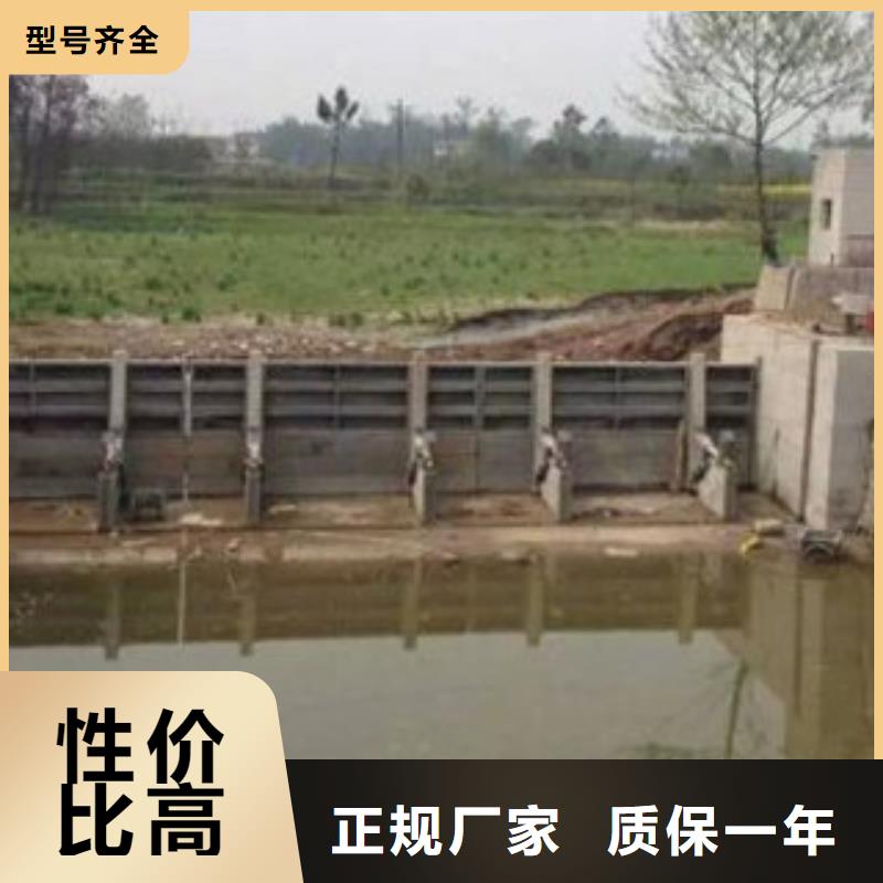 水利自控翻板闸门行业经验可信赖
