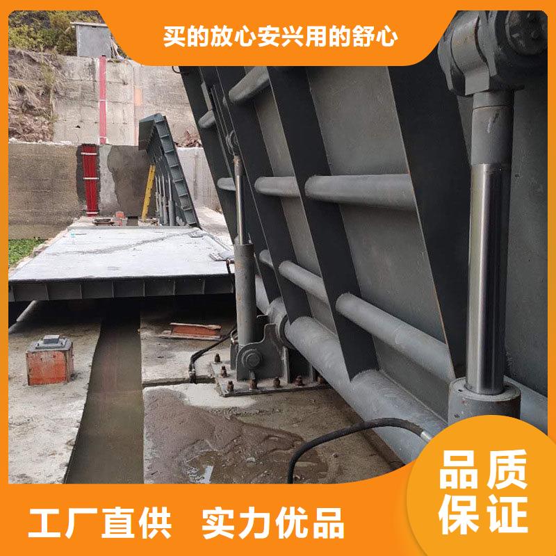 钢坝闸门可定制定做产品