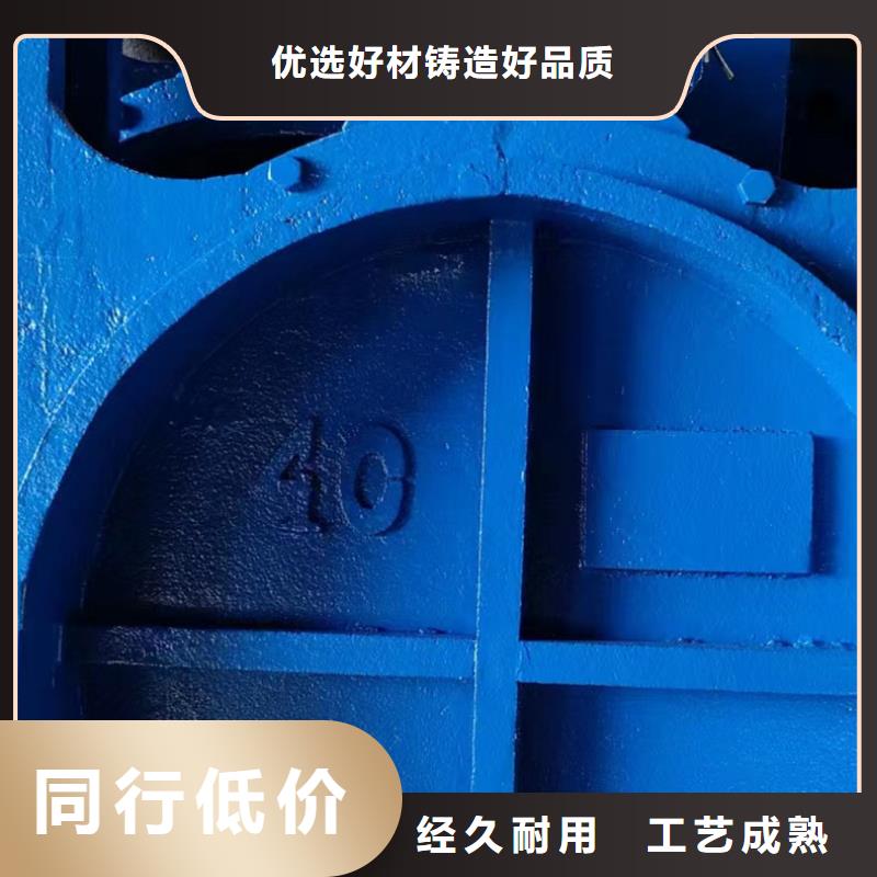 下开式铸铁堰门行业经验可信赖
