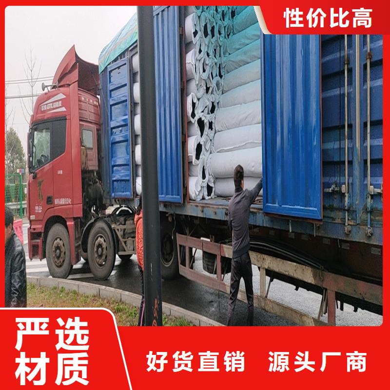 绿化盲管在哪里买