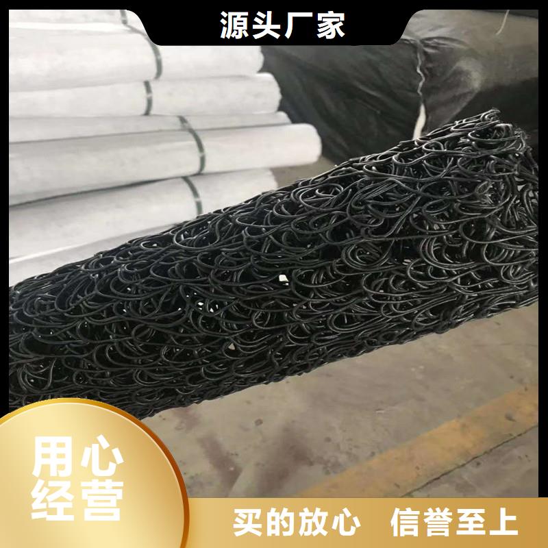 渗排水网垫来厂考察厂家