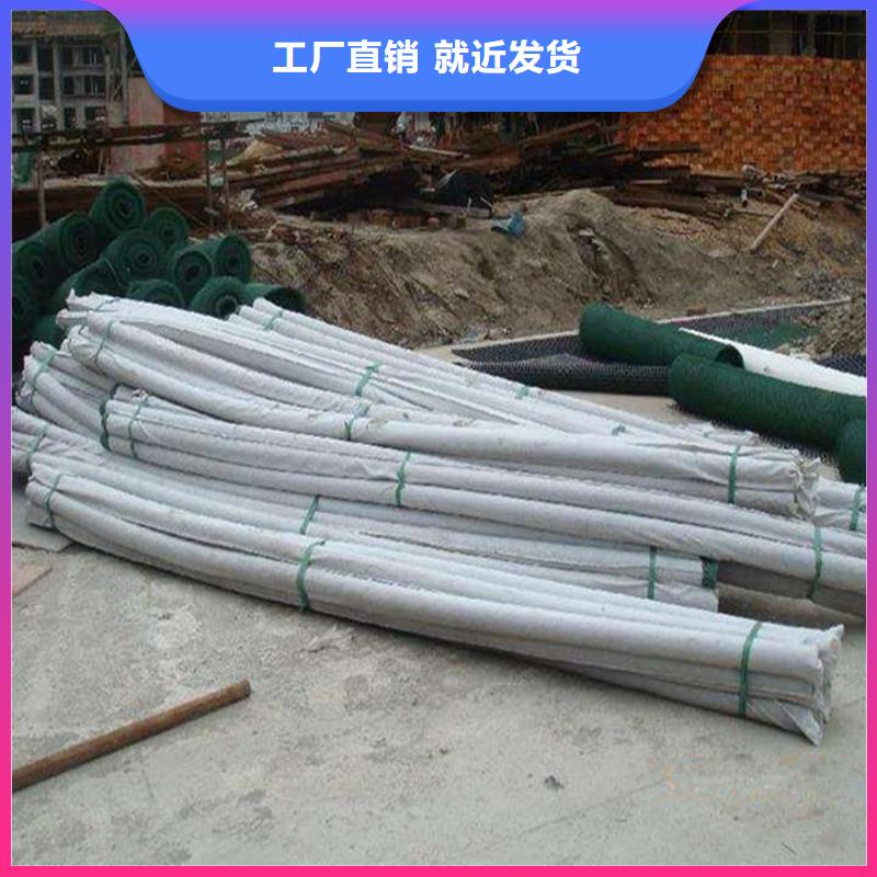 绿化盲管在哪里买