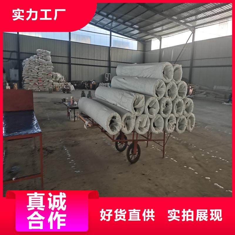 绿化盲管在哪里买