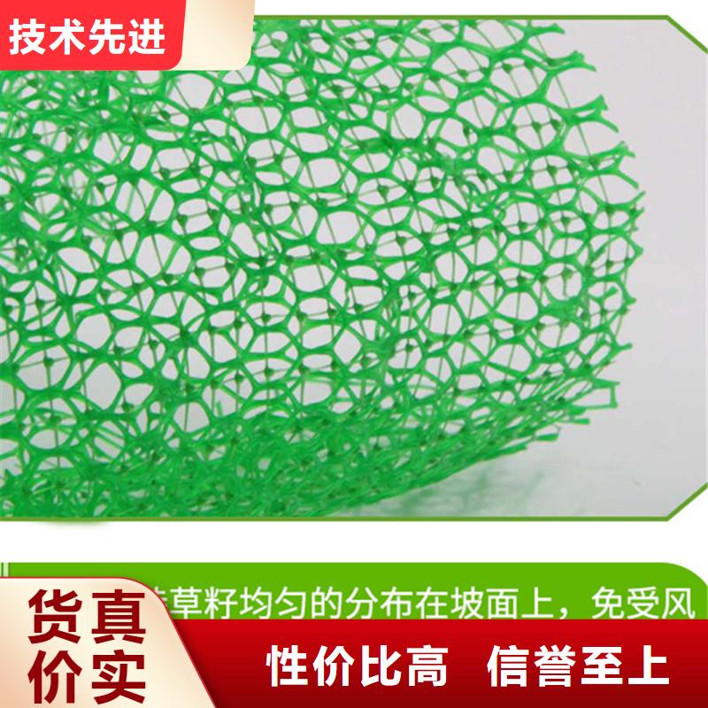 三维植被网【止水铜片】免费获取报价