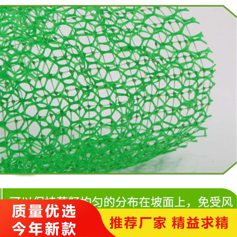 【三维植被网】螺旋形聚乙烯醇纤维应用领域