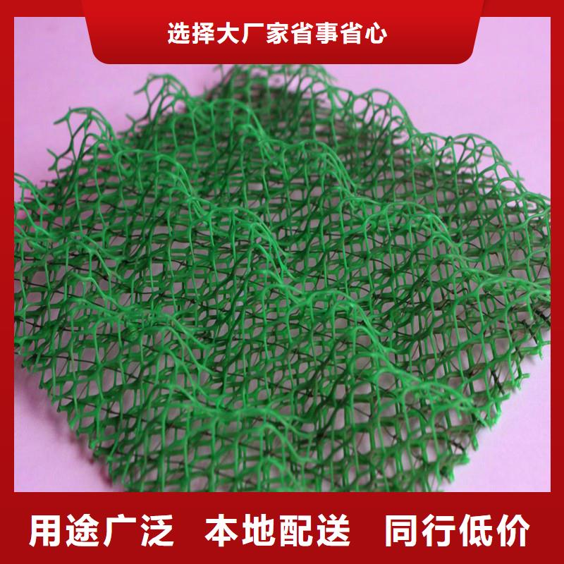 【三维植被网】,止水铜片制造生产销售