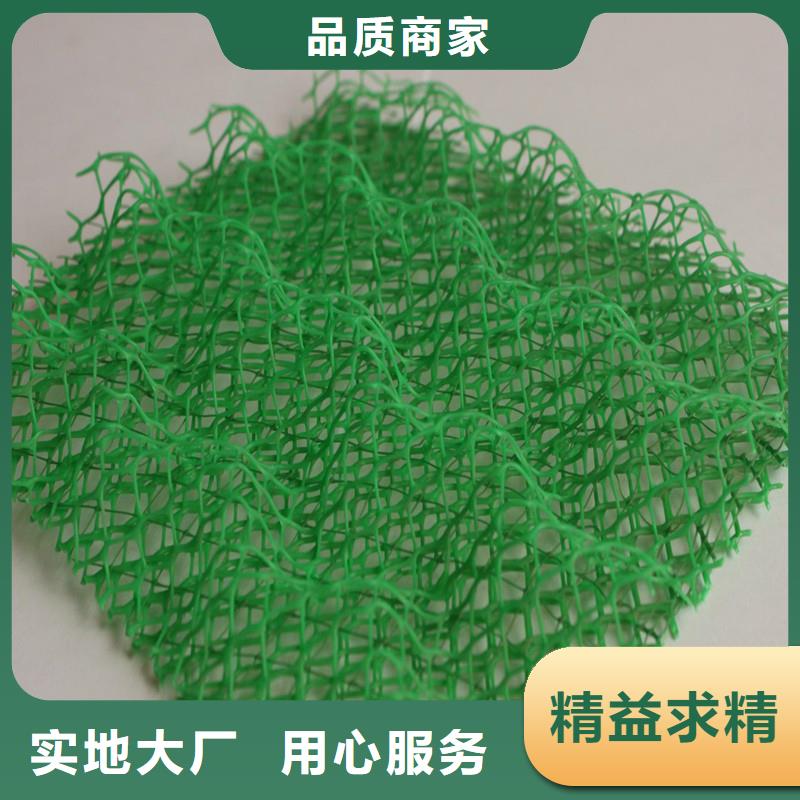 三维植被网沥青木丝板精心选材