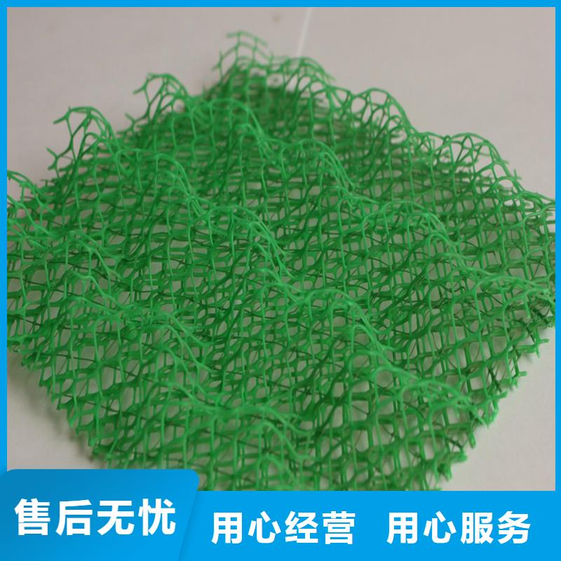 三维植被网-土工膜全品类现货