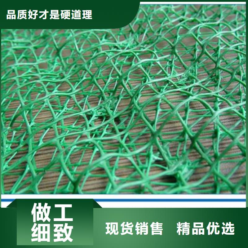 三维植被网-塑料盲管源头实体厂商