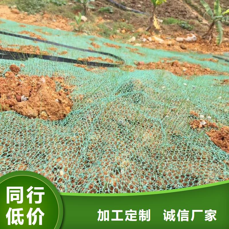 三维植被网-塑料盲管源头实体厂商