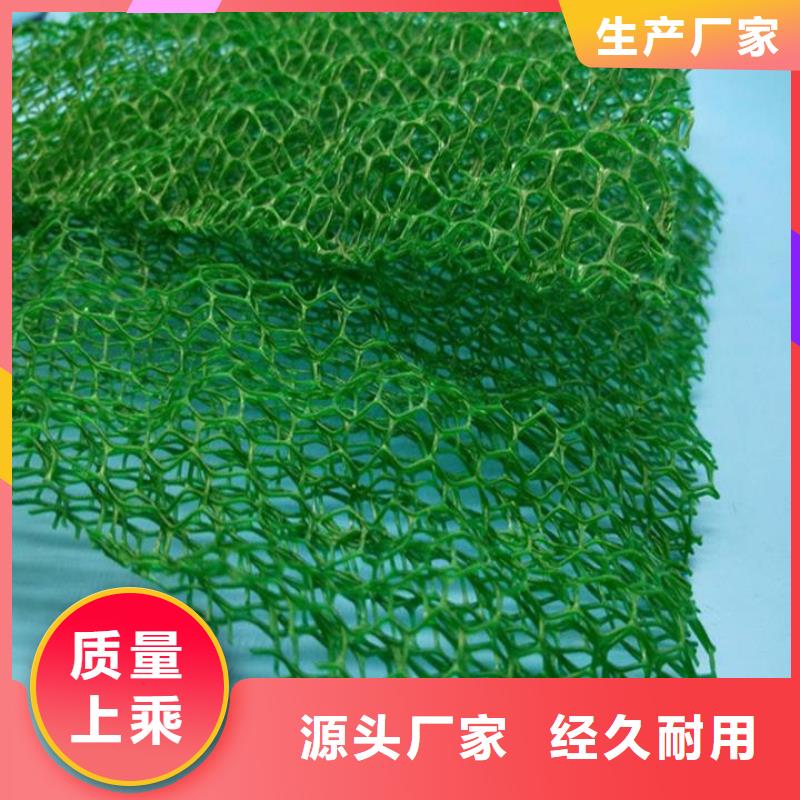 【三维植被网】,止水铜片制造生产销售