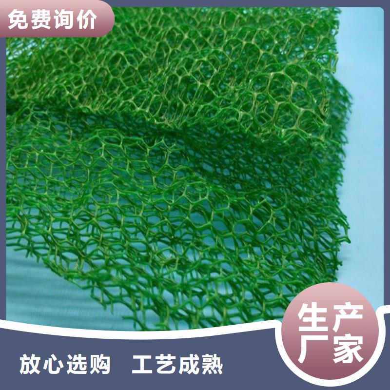 【三维植被网】,止水铜片制造生产销售