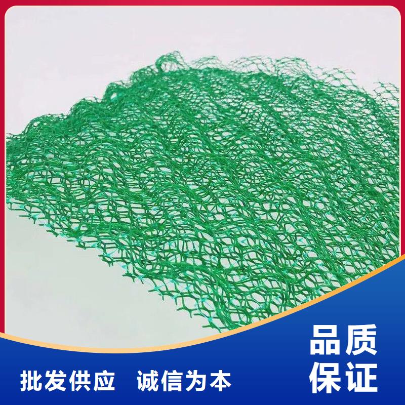 三维植被网聚丙烯网状纤维买的放心