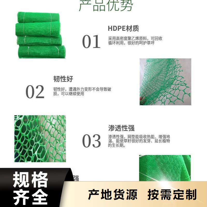 三维植被网塑料盲管质保一年