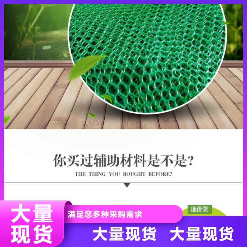 三维植被网聚丙烯网状纤维买的放心