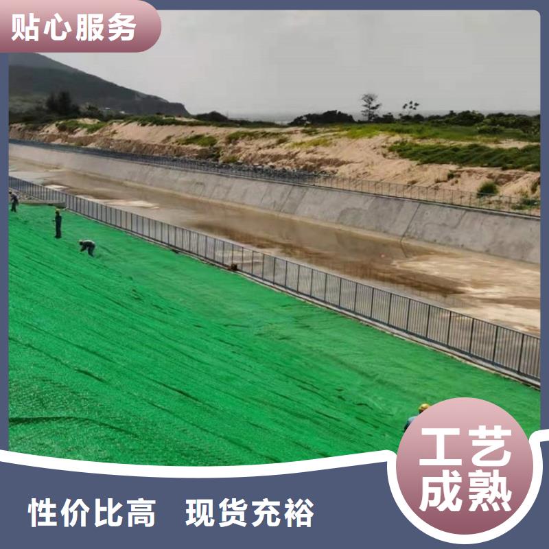 【三维植被网】_仿钢塑钢纤维保质保量