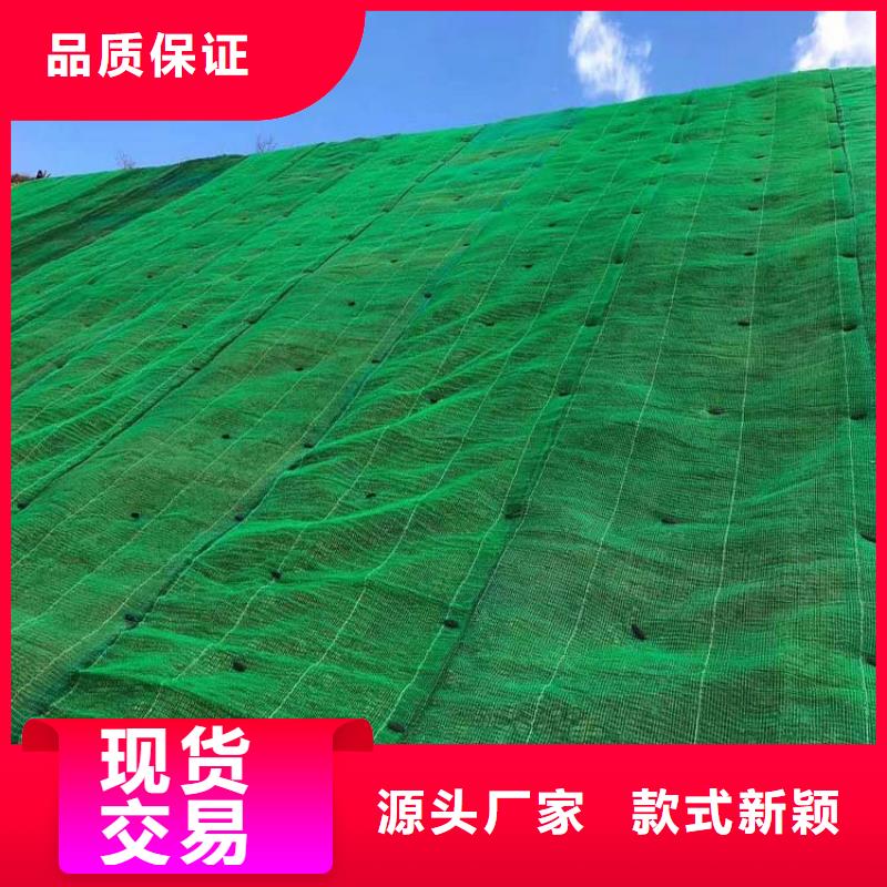 三维植被网塑料盲管质保一年