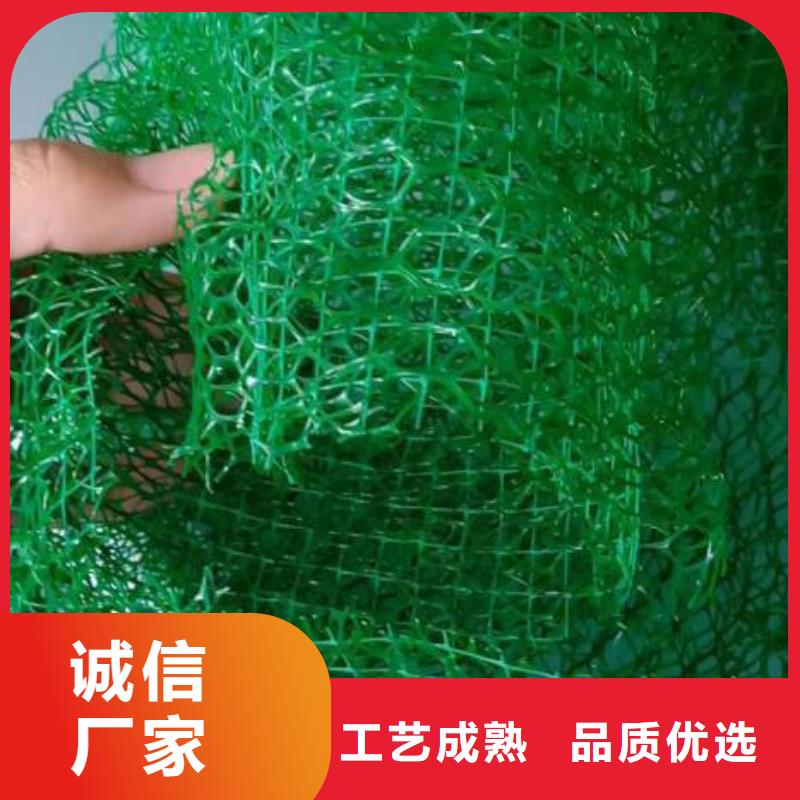 三维植被网聚乙烯醇纤维优选好材铸造好品质