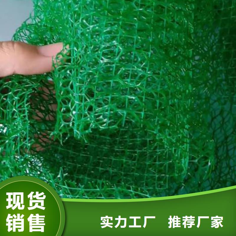 三维植被网聚丙烯网状纤维买的放心