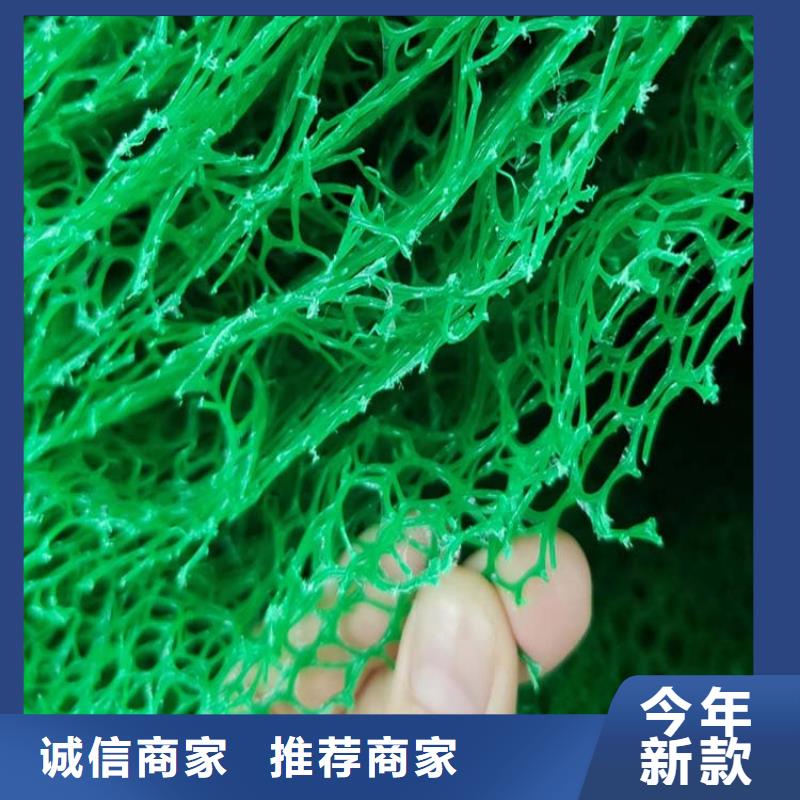 【三维植被网剪切钢纤维实拍品质保障】