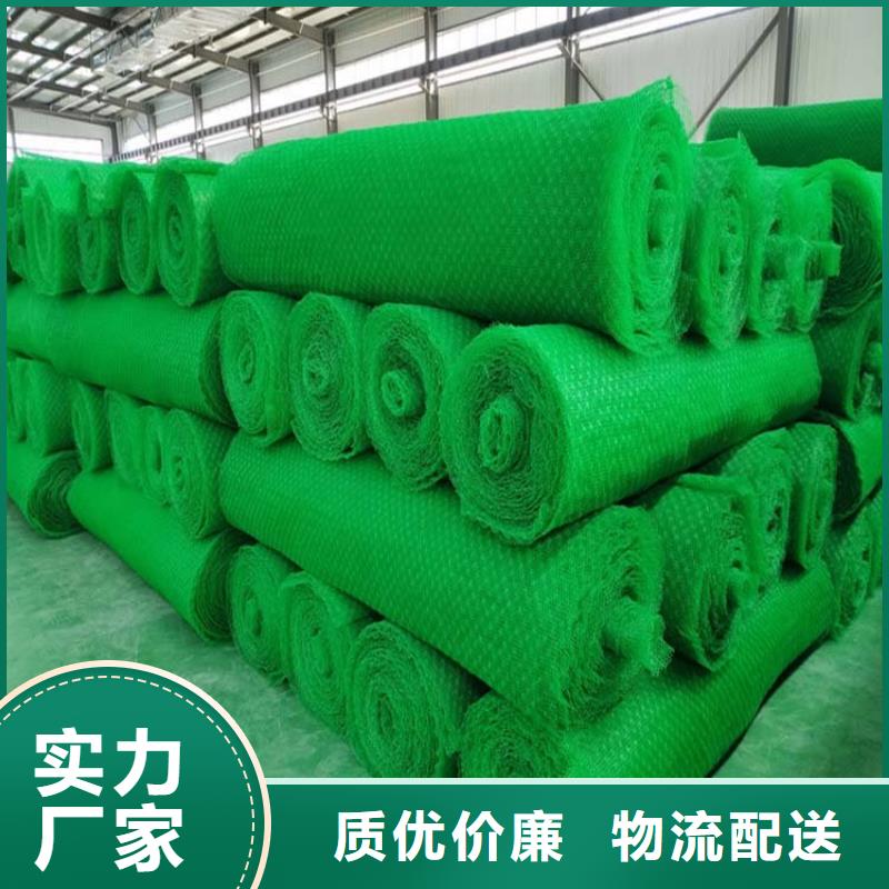 三维植被网聚乙烯醇纤维优选好材铸造好品质