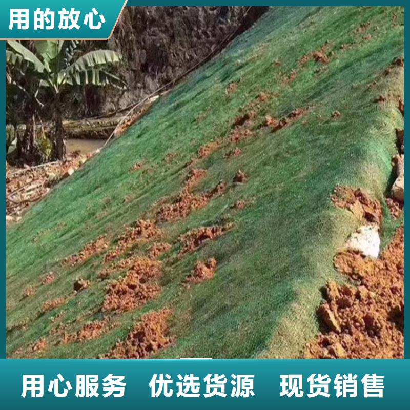 【三维植被网剪切钢纤维实拍品质保障】