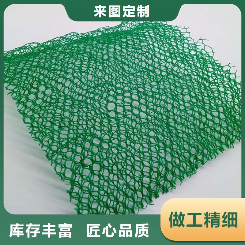 三维植被网聚丙烯网状纤维买的放心