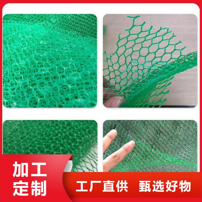 【三维植被网止水铜片的图文介绍】