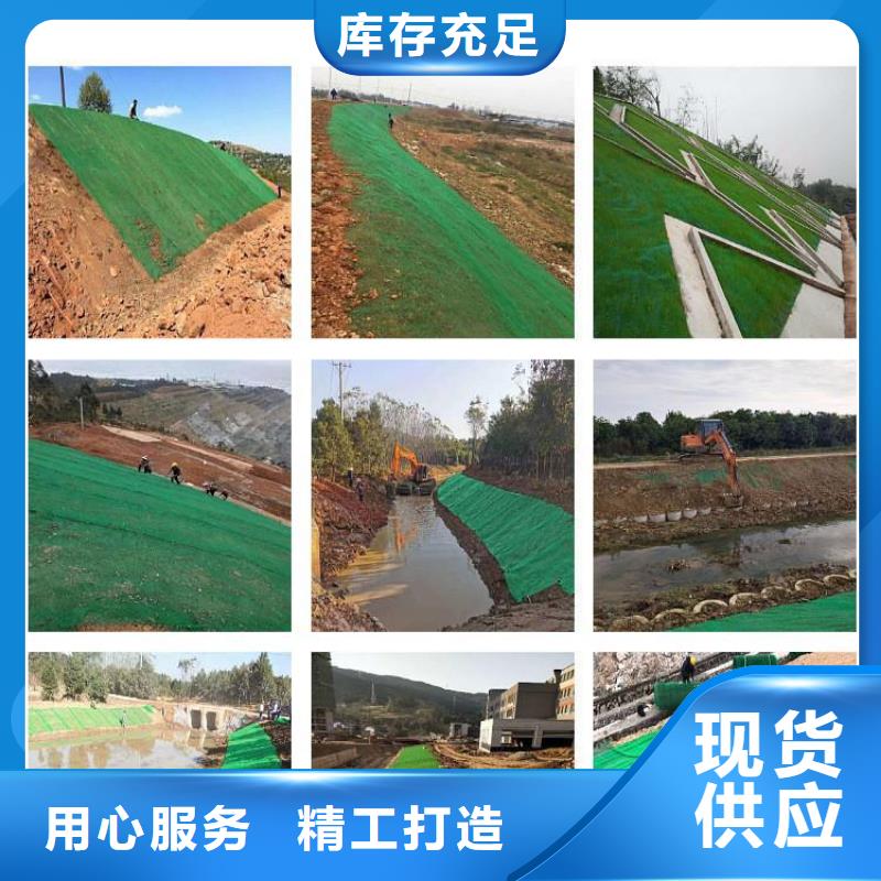 三维植被网-塑料盲管源头实体厂商