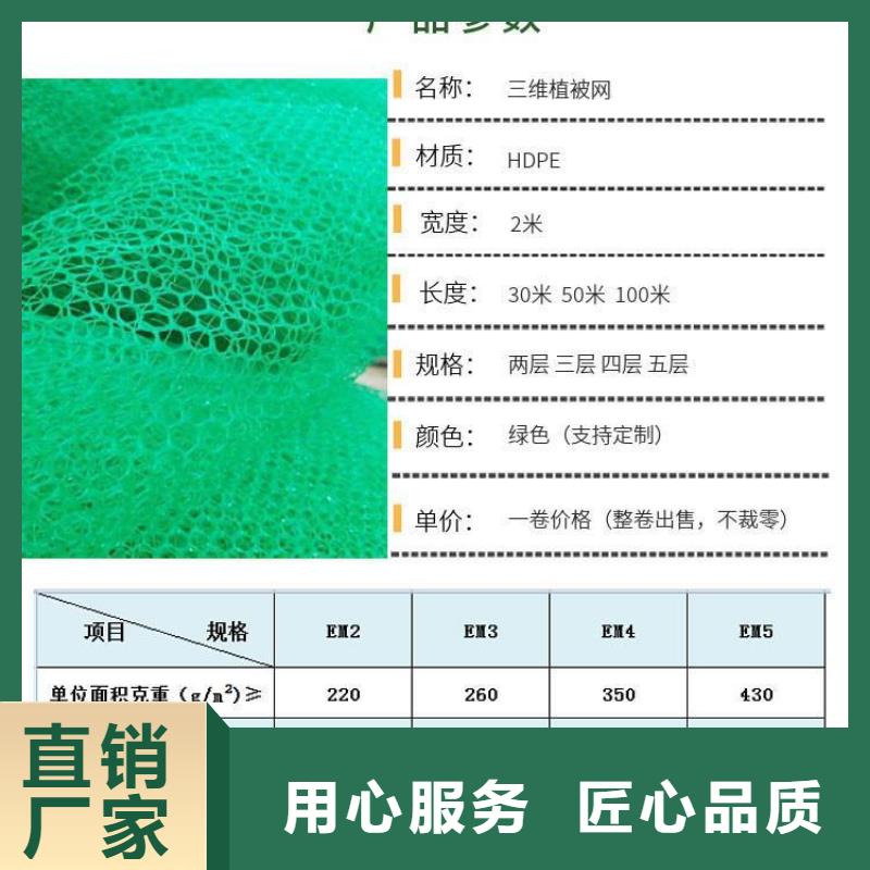 三维植被网沥青木丝板精心选材