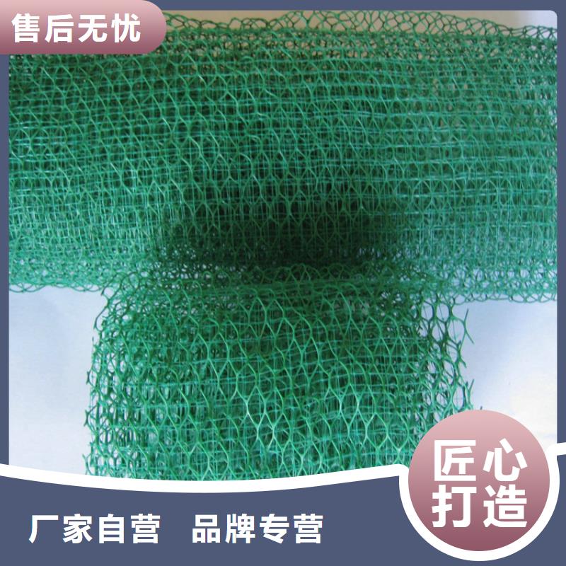 三维植被网止水铜片多种规格可选