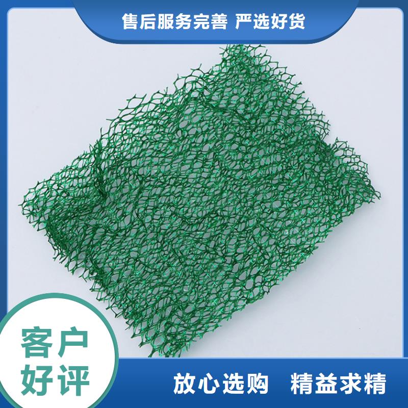 三维植被网砂浆混凝土纤维厂家直销