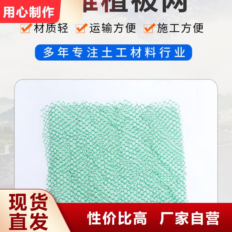 【三维植被网】_仿钢塑钢纤维保质保量