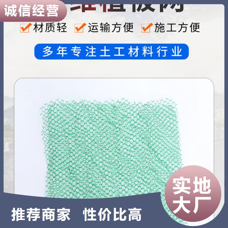 三维植被网-塑料盲管源头实体厂商