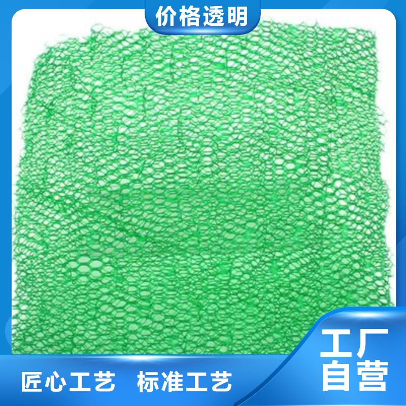 【三维植被网止水铜片的图文介绍】