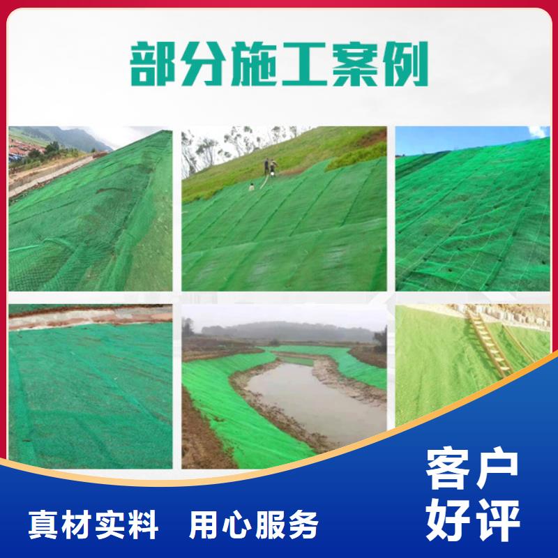 三维植被网聚乙烯醇纤维优选好材铸造好品质