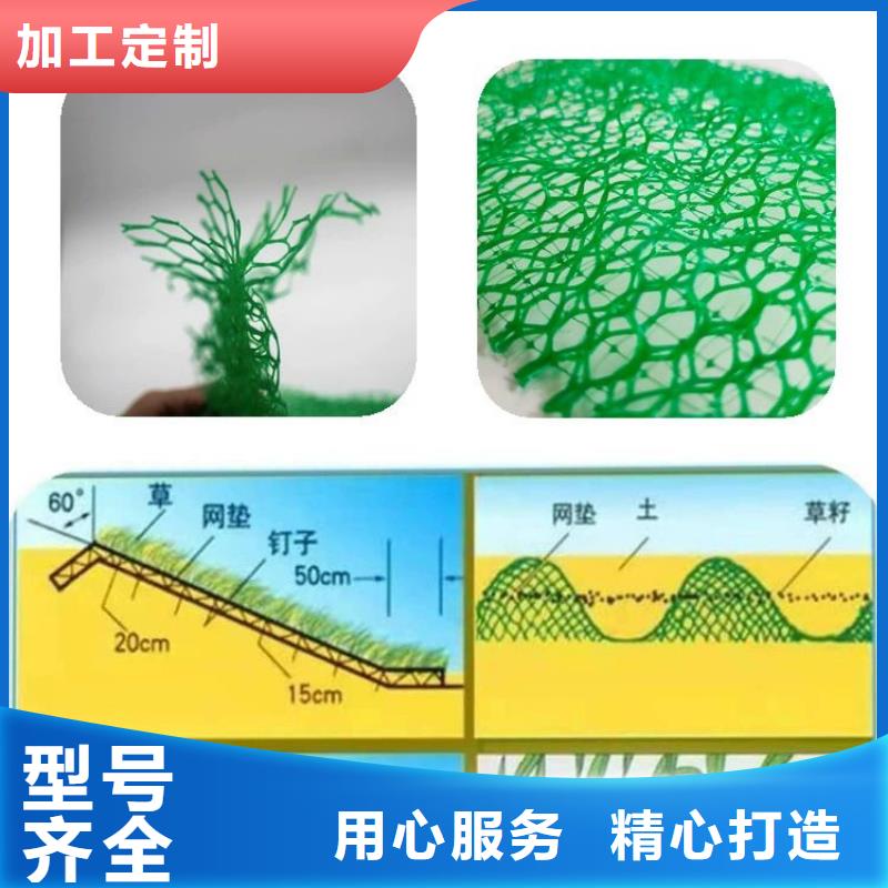 三维植被网止水铜片厂家来图定制量大从优