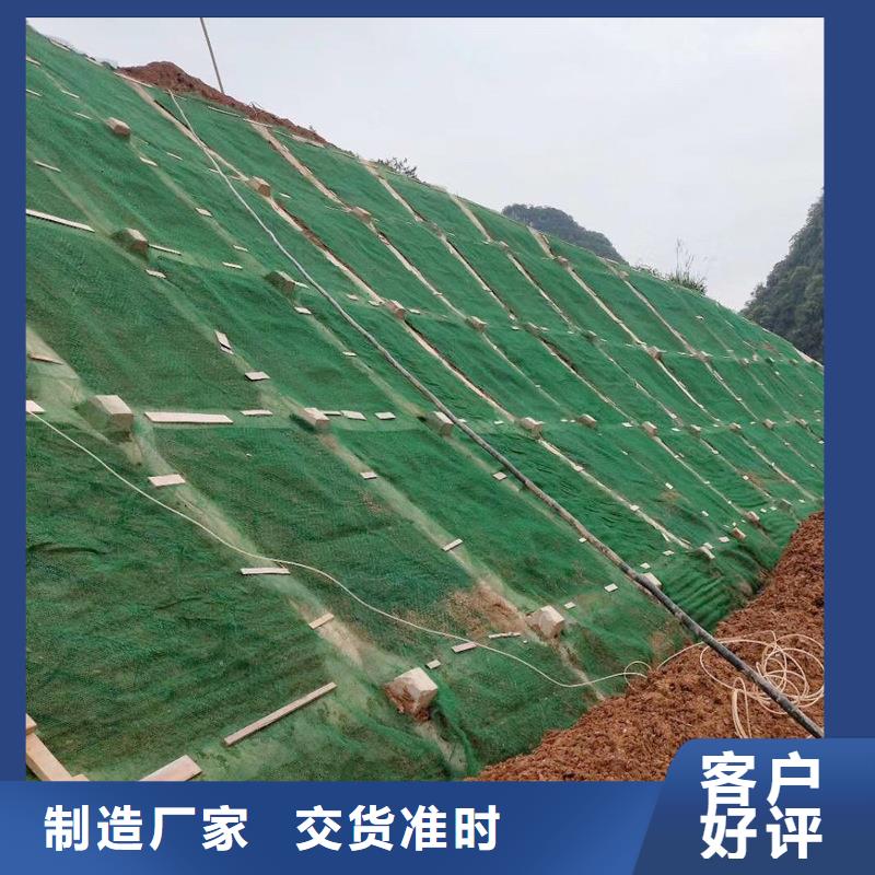 【三维植被网止水铜片的图文介绍】