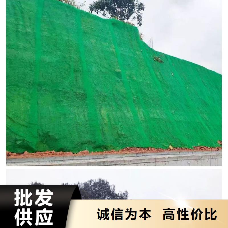 【三维植被网剪切钢纤维实拍品质保障】