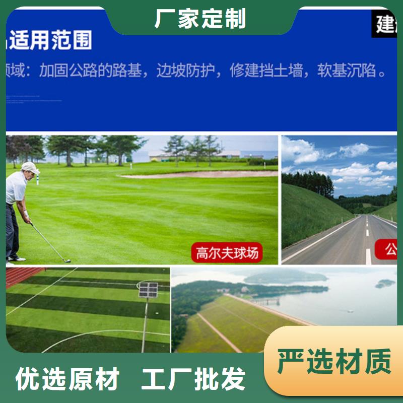 三维植被网-土工膜全品类现货