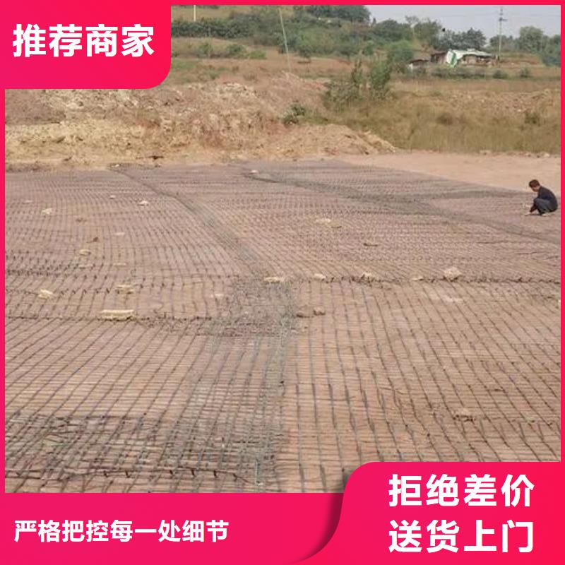 钢塑土工格栅服务为先电话