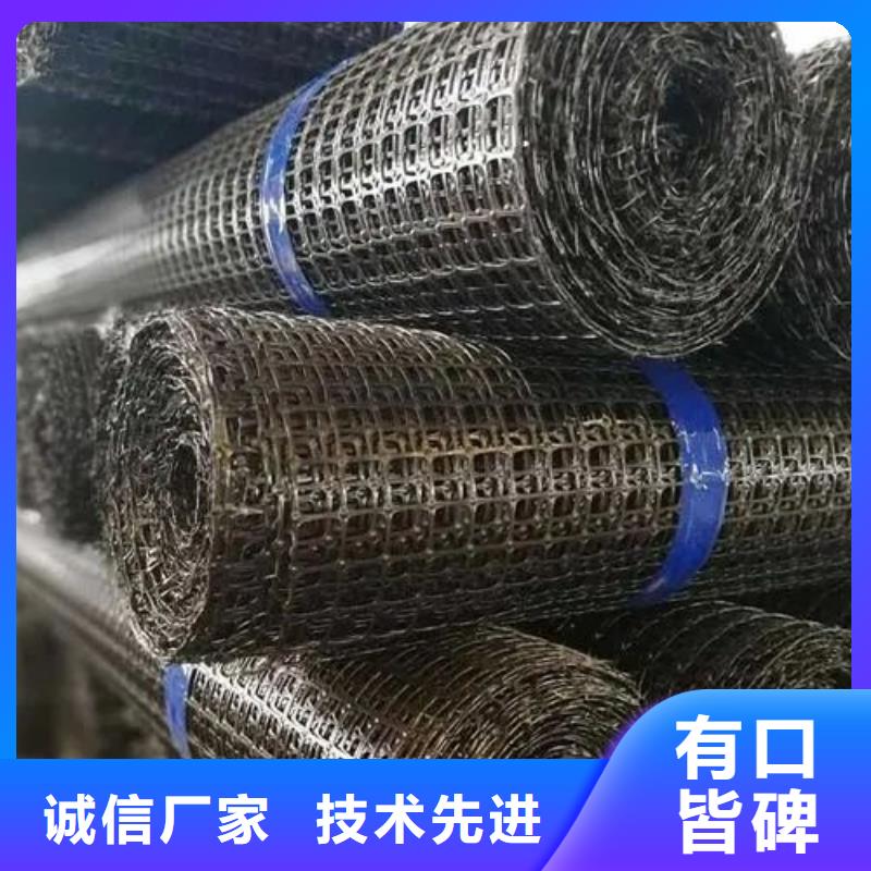 钢塑土工格栅现货价格厂家
