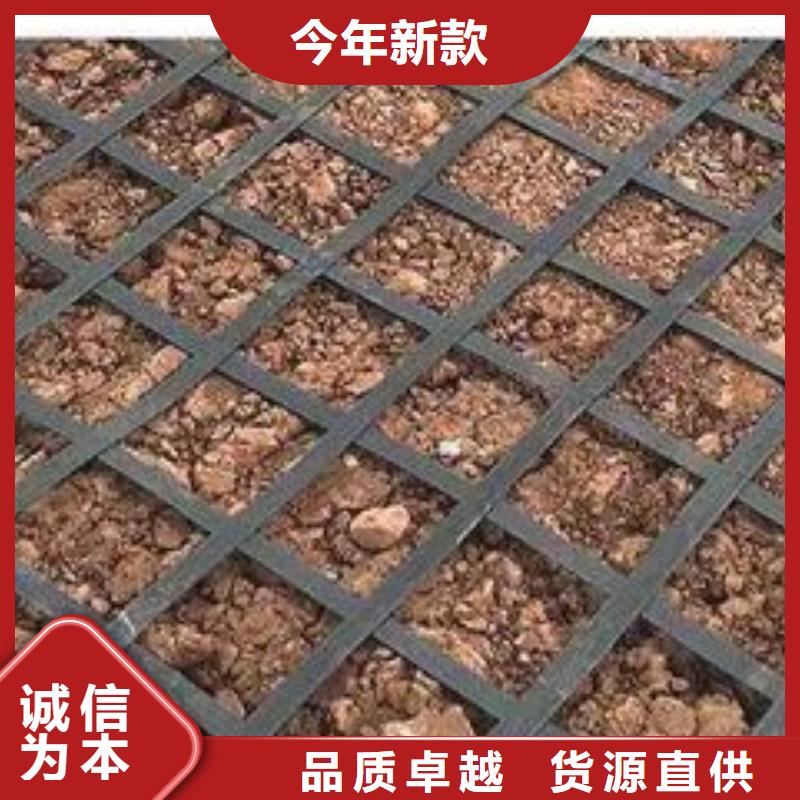 儋州市钢塑格栅厂家价格低