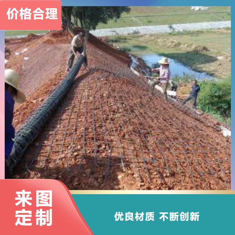 双向土工格栅10年经验电话