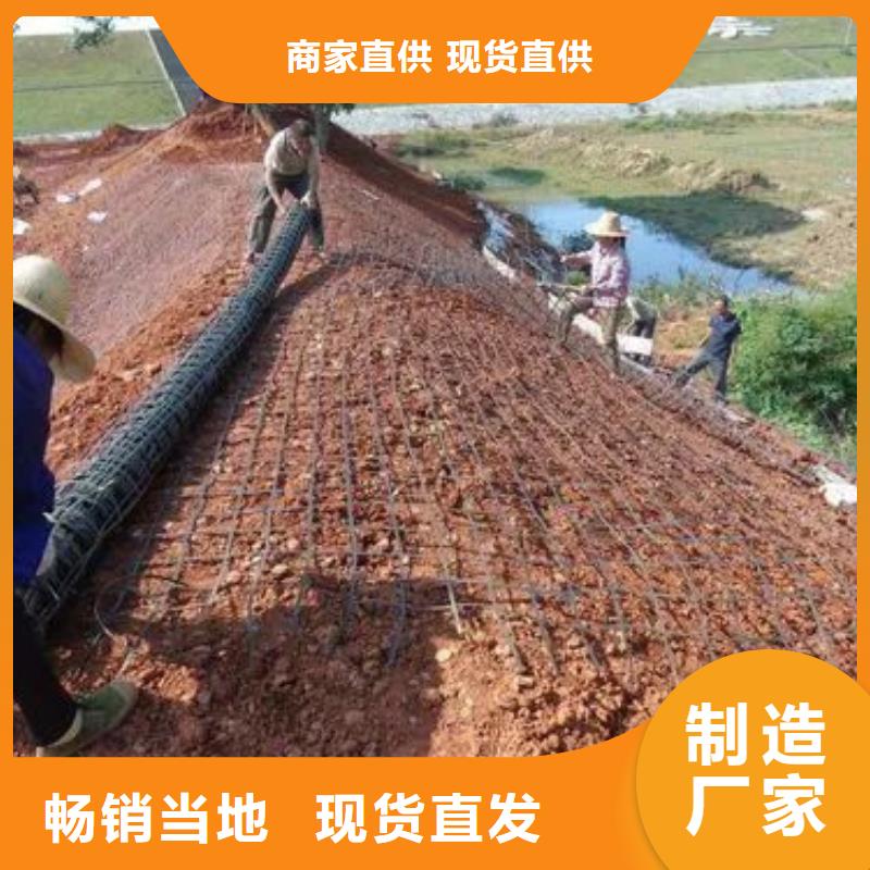 钢塑土工格栅质量放心厂家