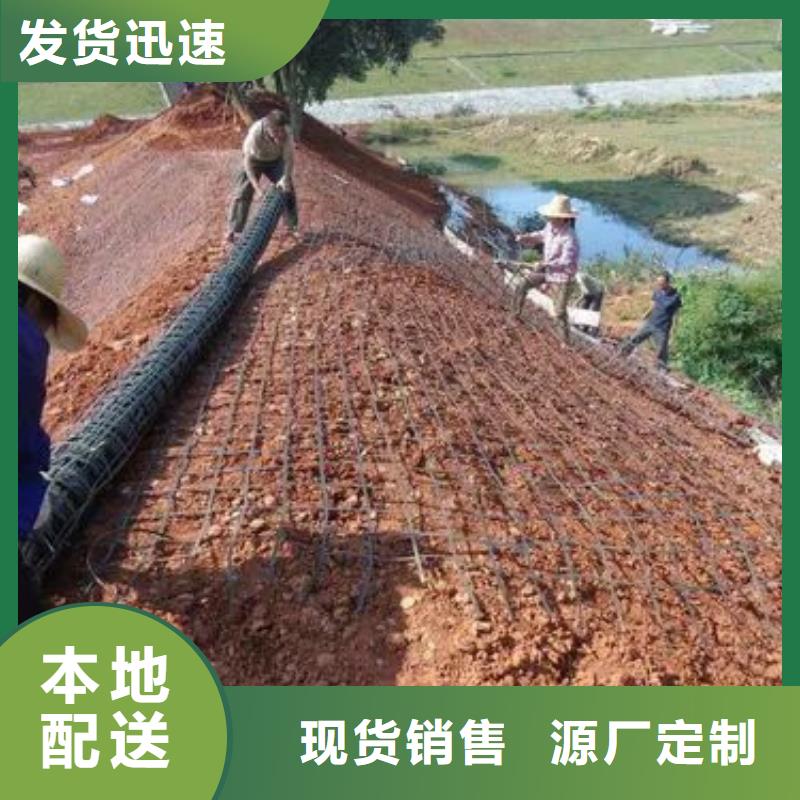 塑料格栅价格合理厂家