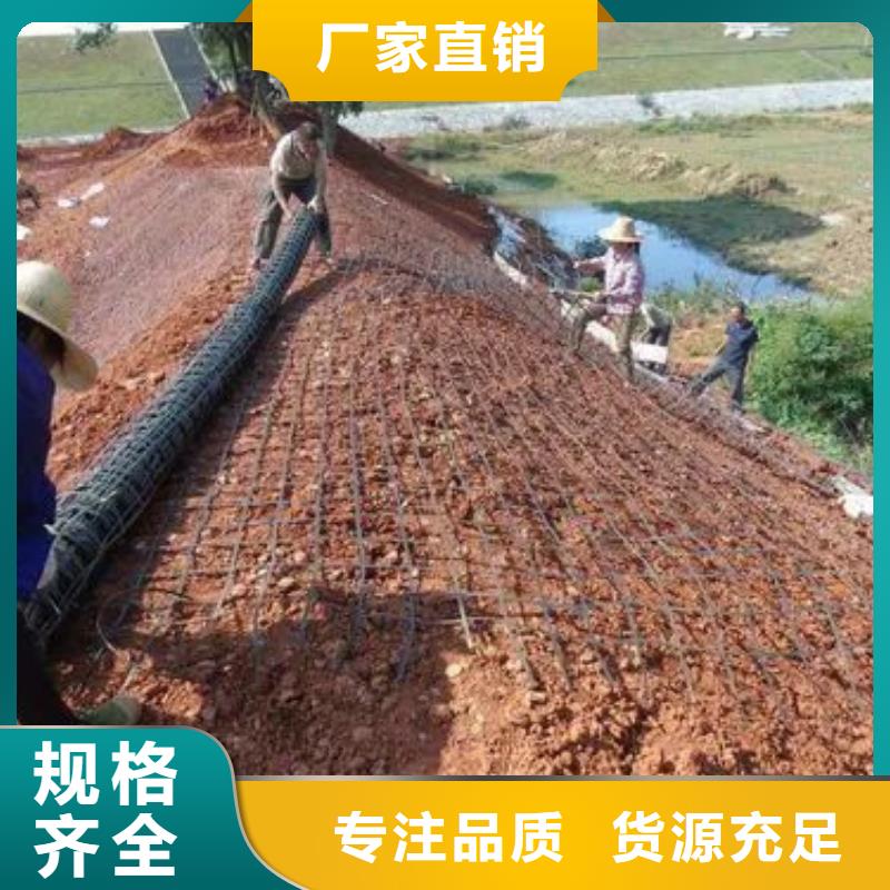 三维土工格栅价格实惠厂家
